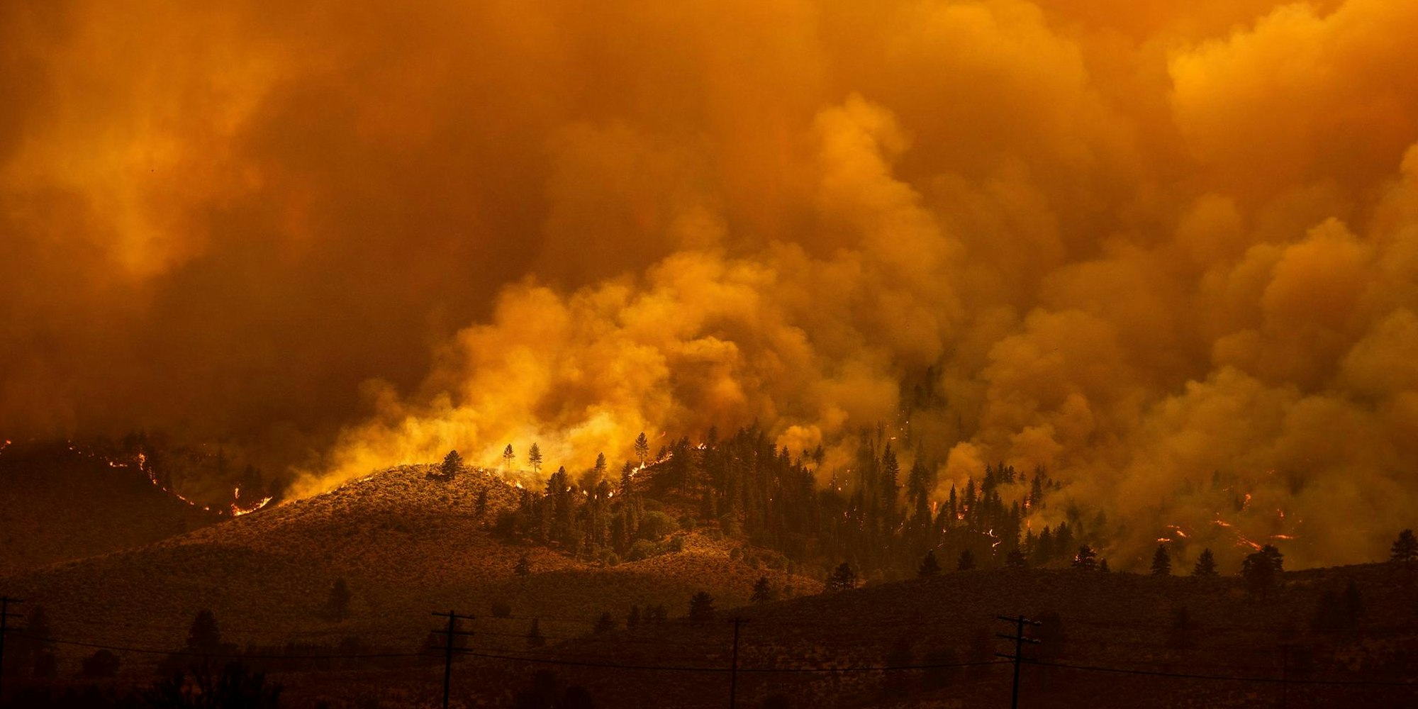 Waldbrand Kalifornien_1