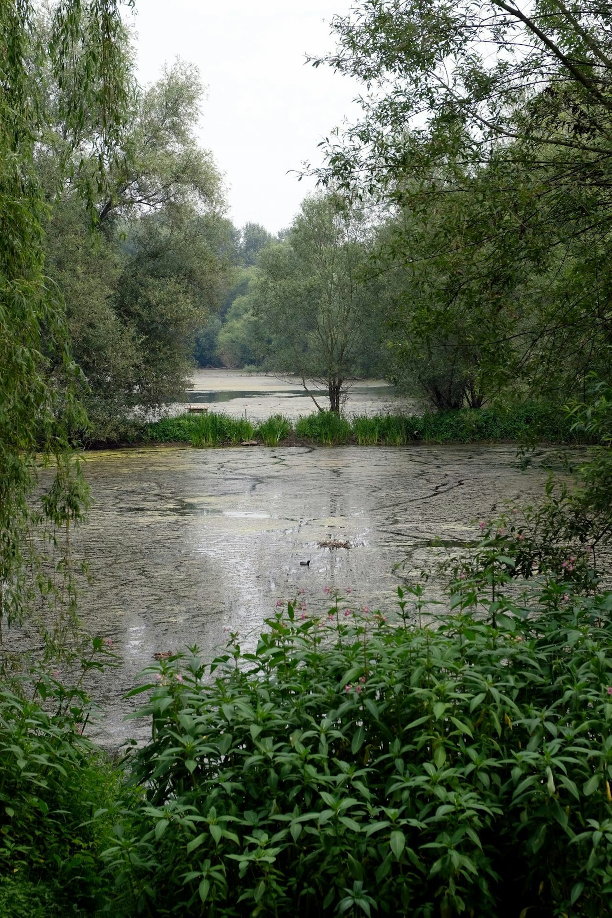 tier0_2018_07_17_MDS-KSTA-2018-07-17-71-135084942