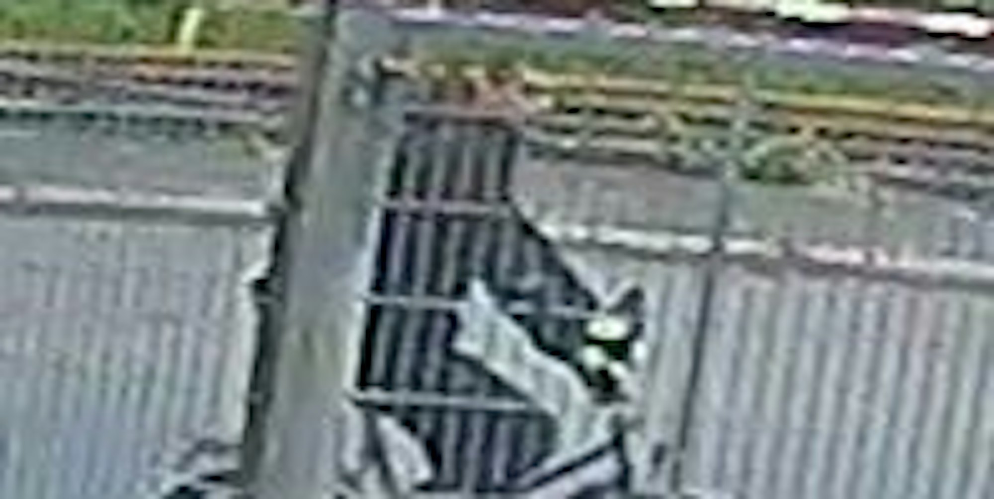 BeschuldigterGanzkörper3