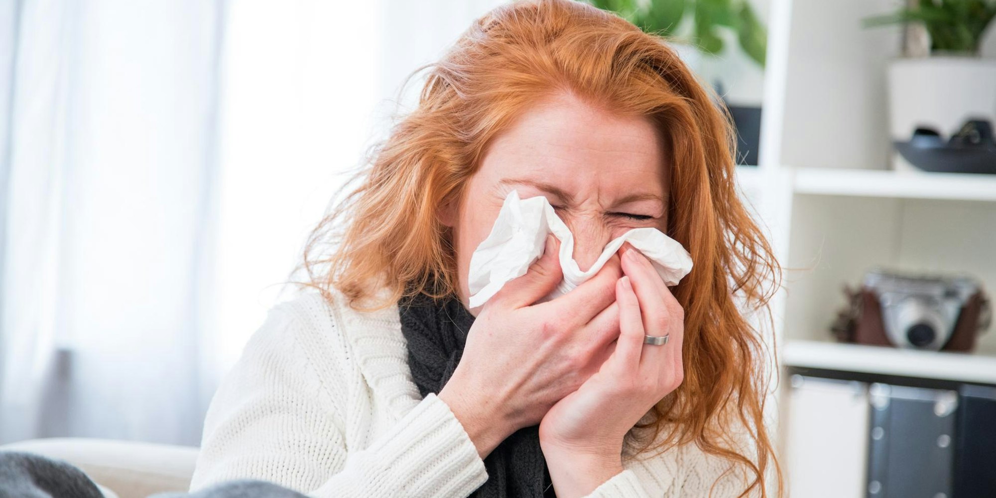 Erkältung Nase putzen dpa