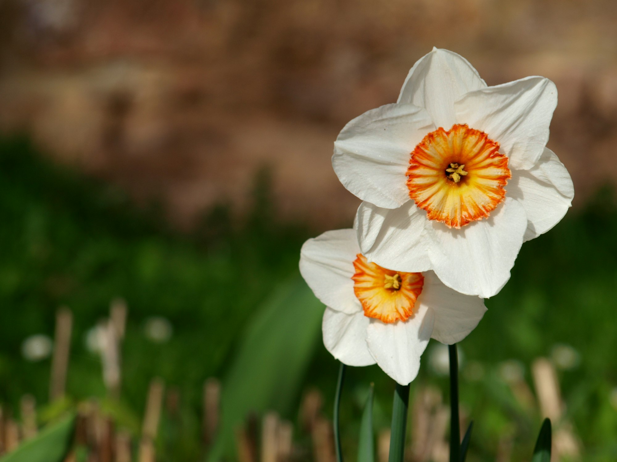 506536_original_R_K_by_Carolin Daum_pixelio.de (2)