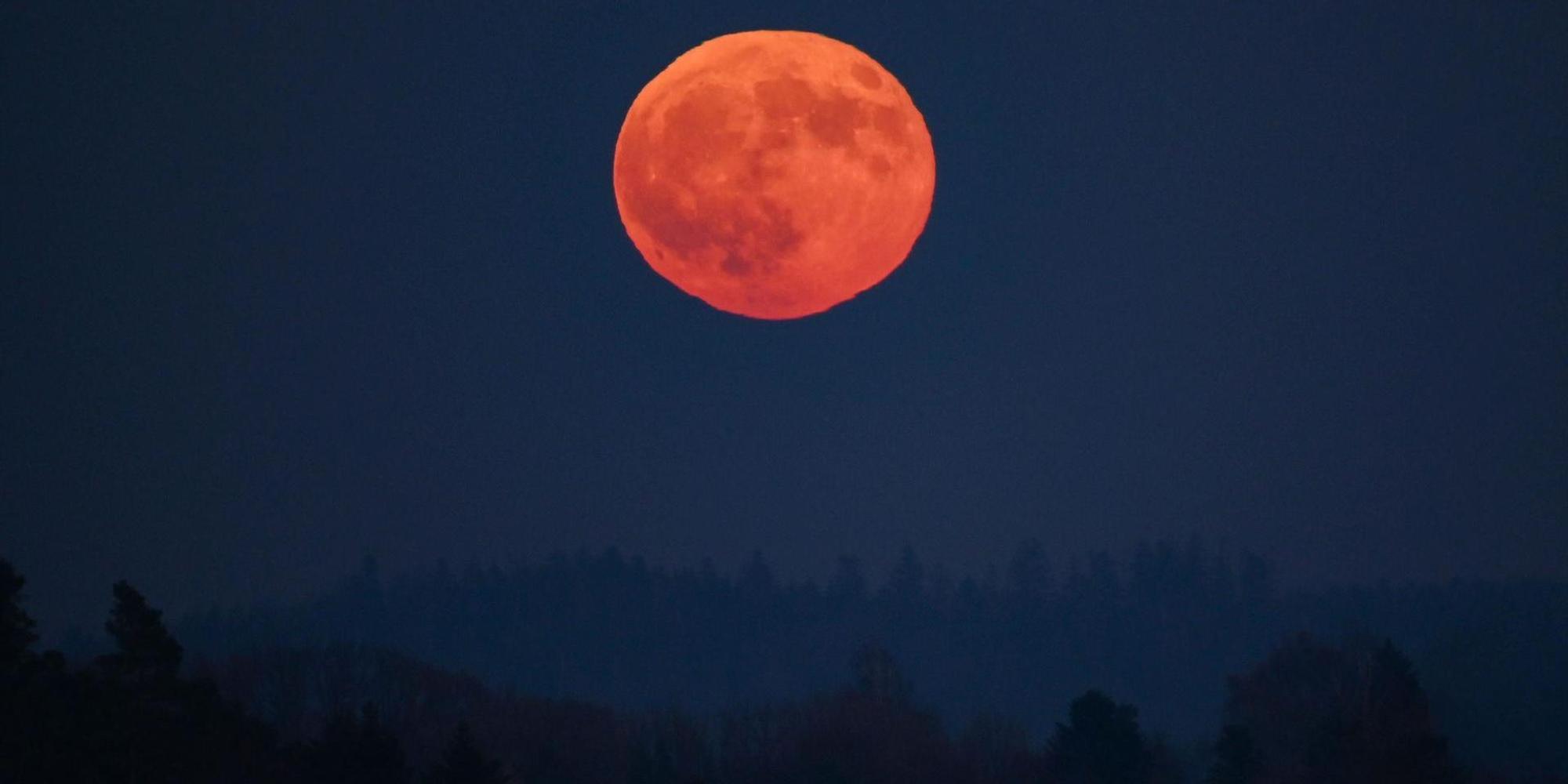 Mond