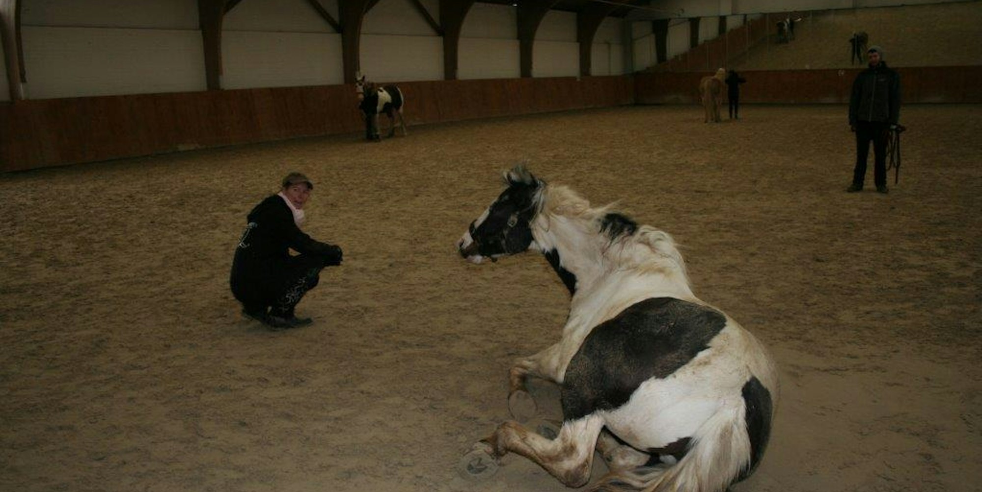 Pferdefluesterer_Glessen_3