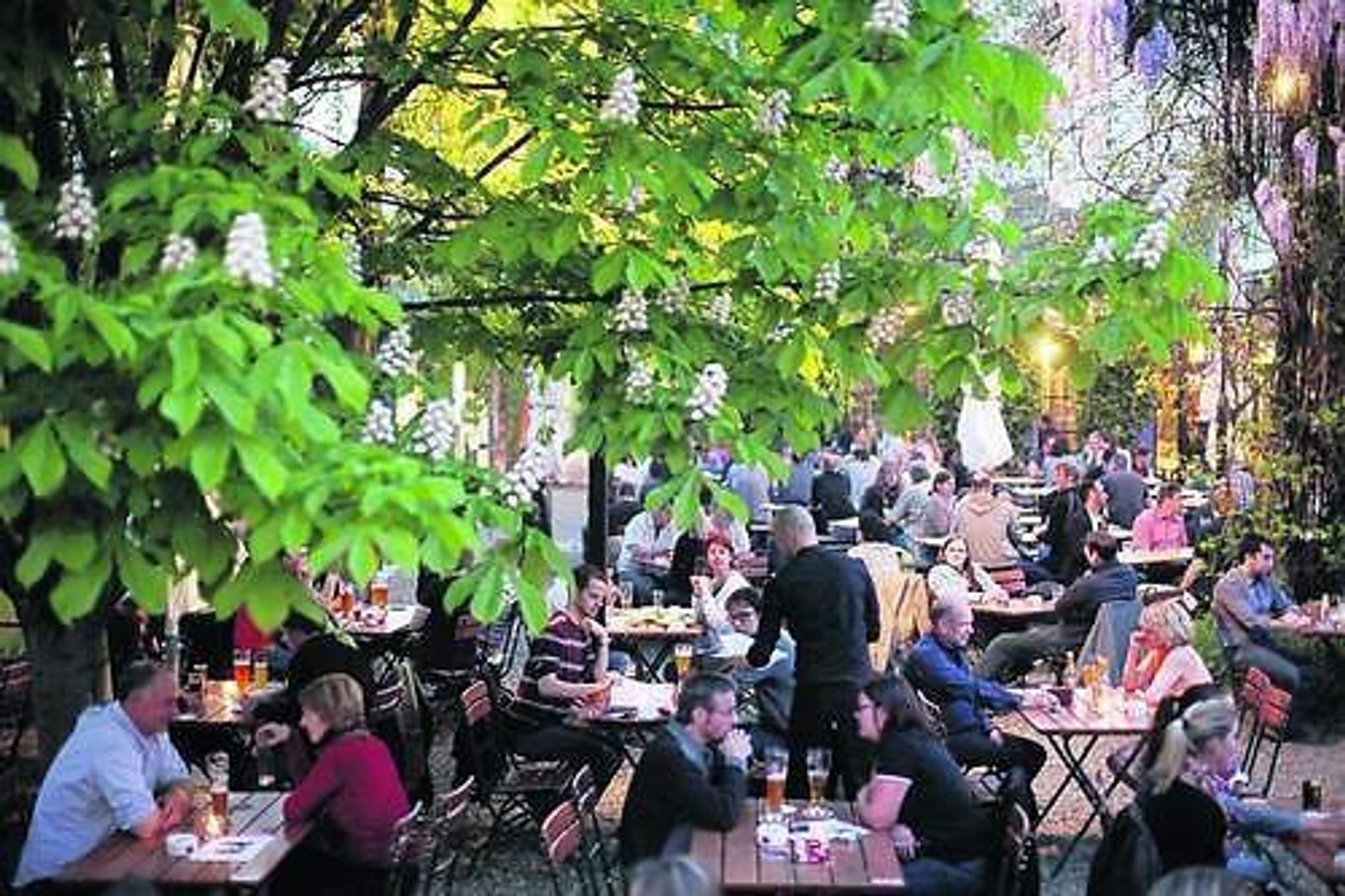 Herbrand's biergarten schmülgen