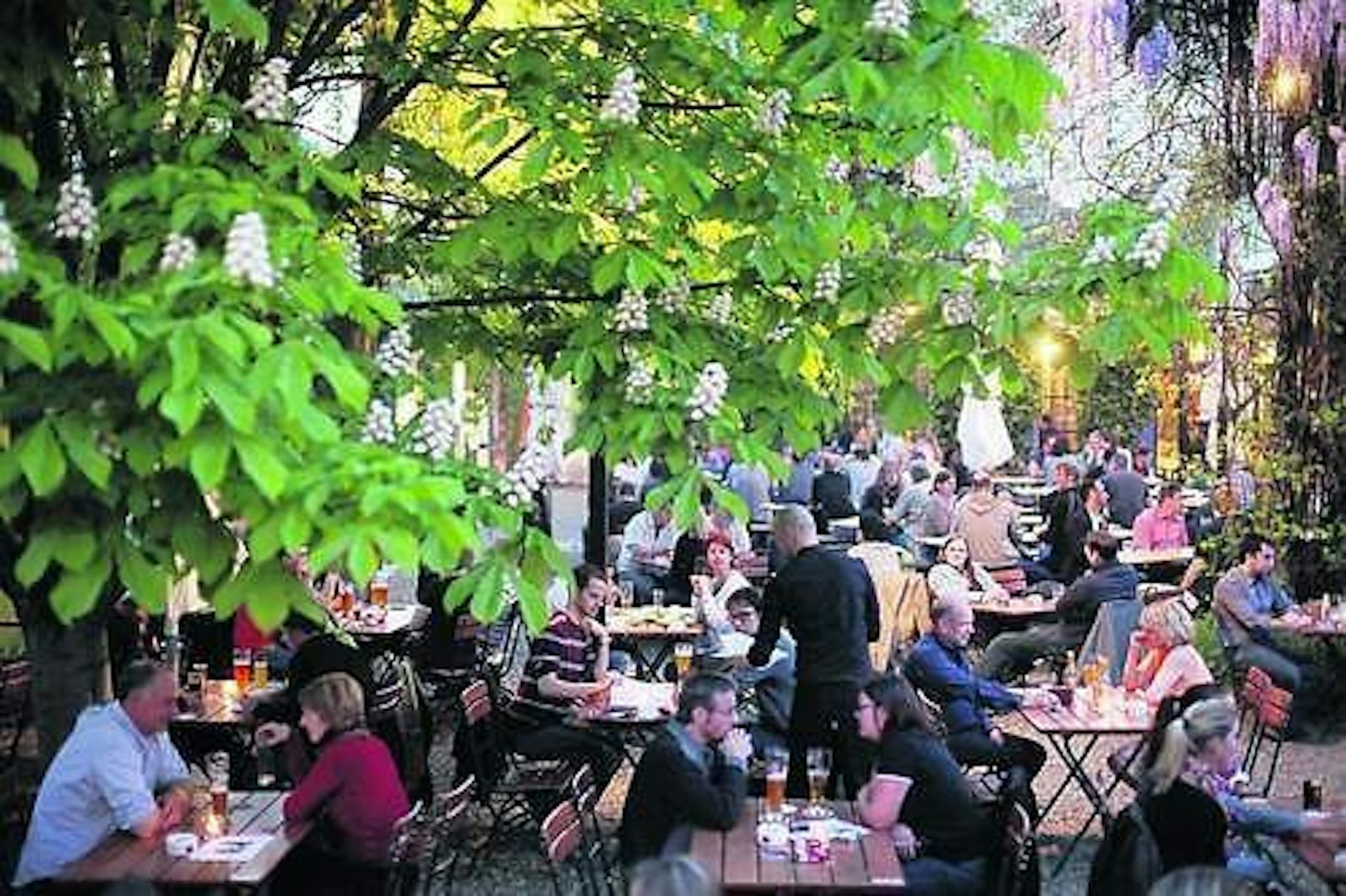 Herbrand's biergarten schmülgen