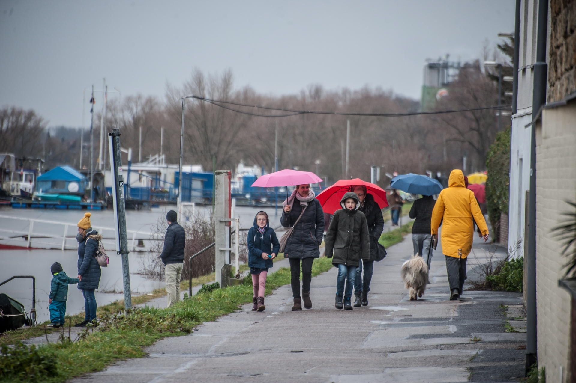 hitdorf-hochwasser-_leverkusen_ALF_7124