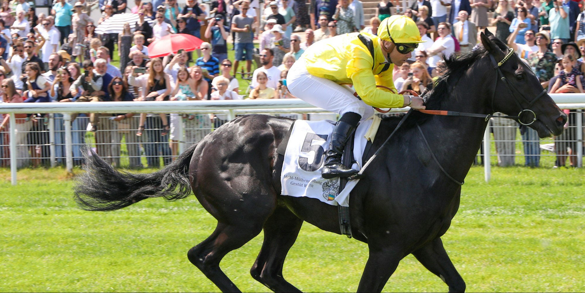 Maljoom gewinnt mit Jockey Stephen Donohoe