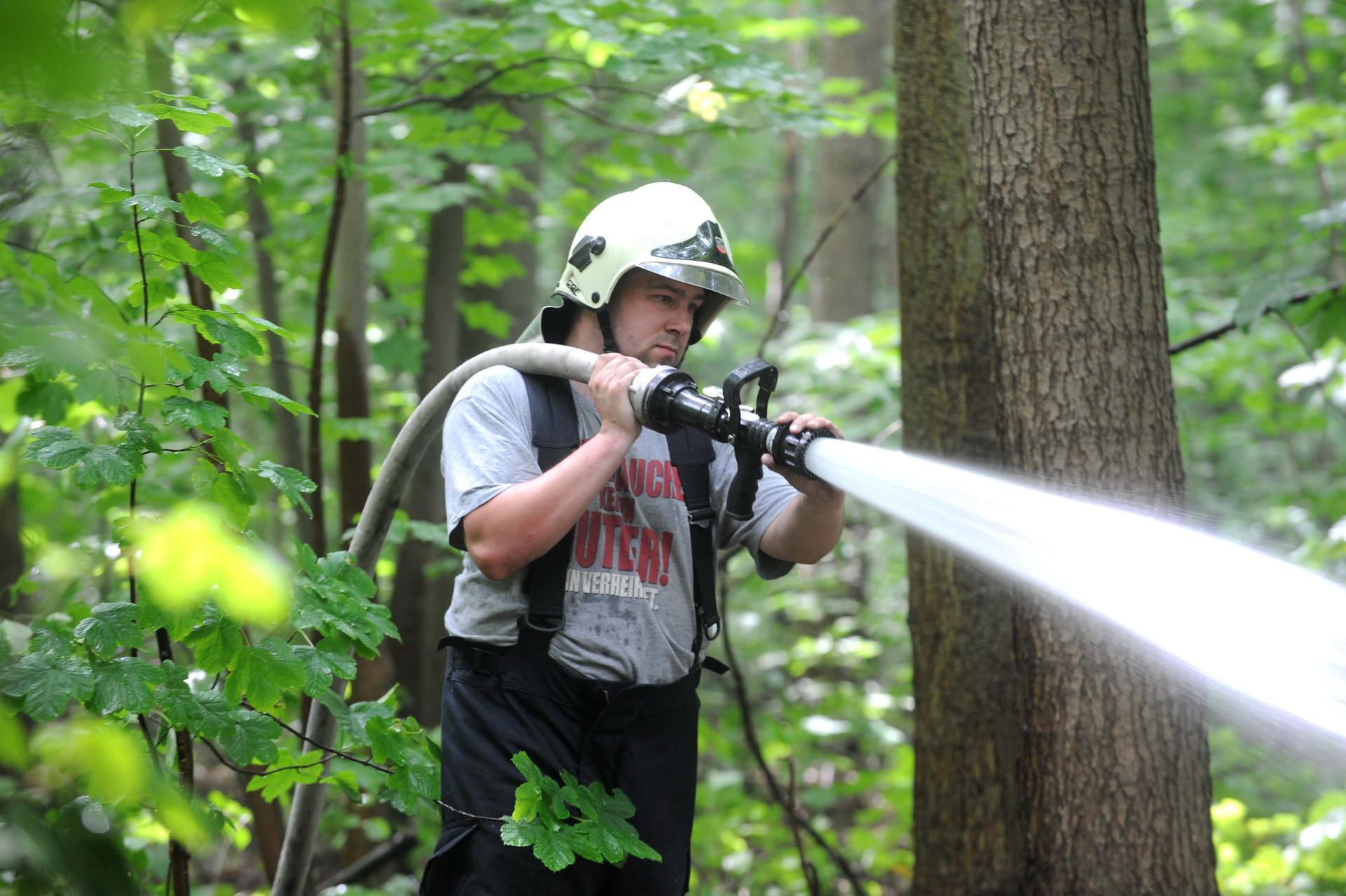 Waldbrand 2