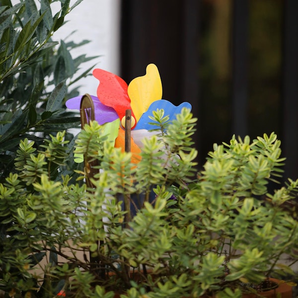 Bergisch Gladbach Missbrauch Wohnhaus