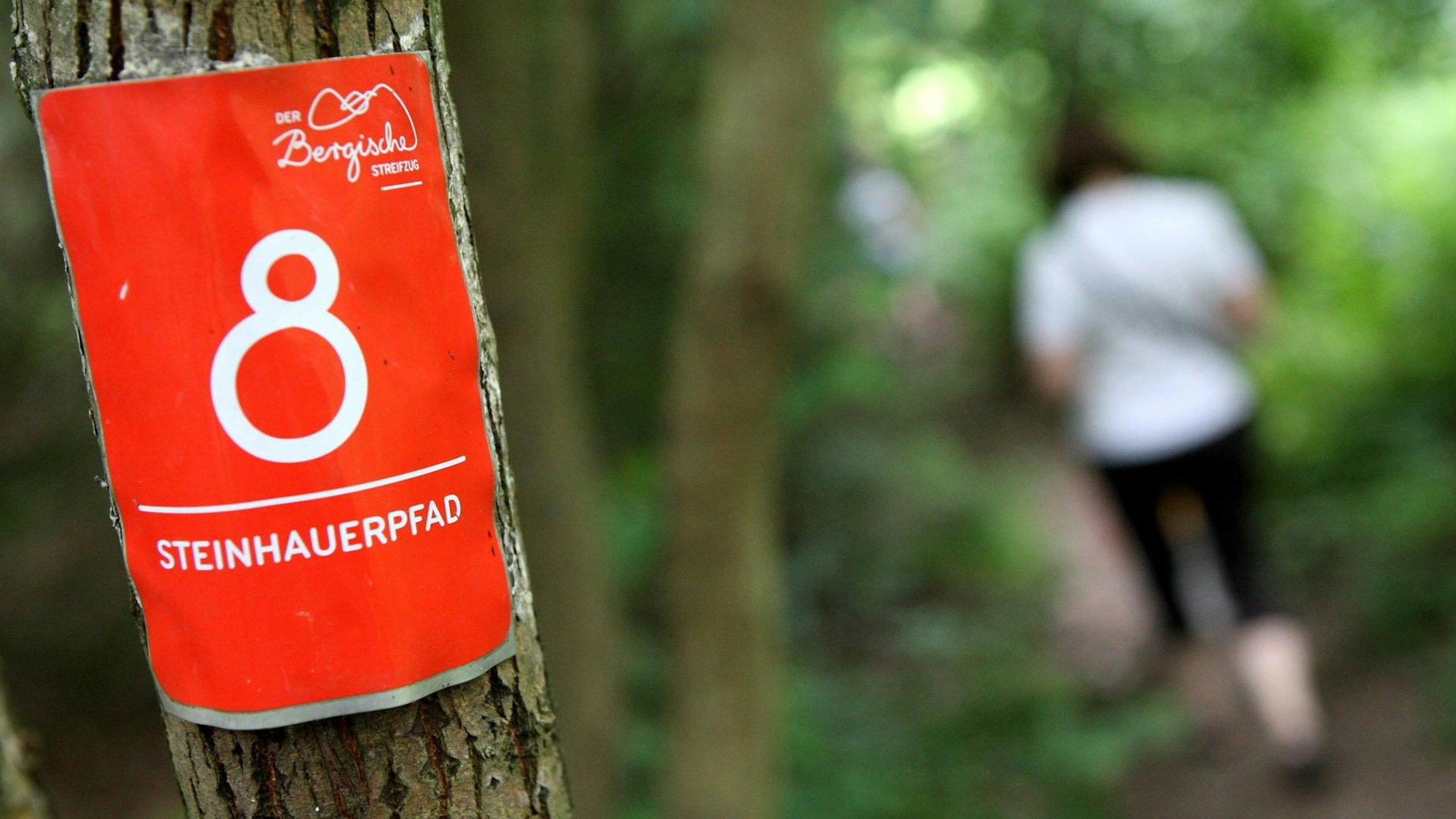 Rote Markierung am Steinhauerpfad Lindlar
