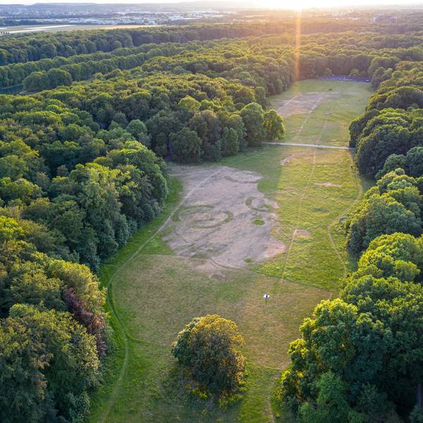 Luftbild der Gleueler Wiese im Grüngürtel