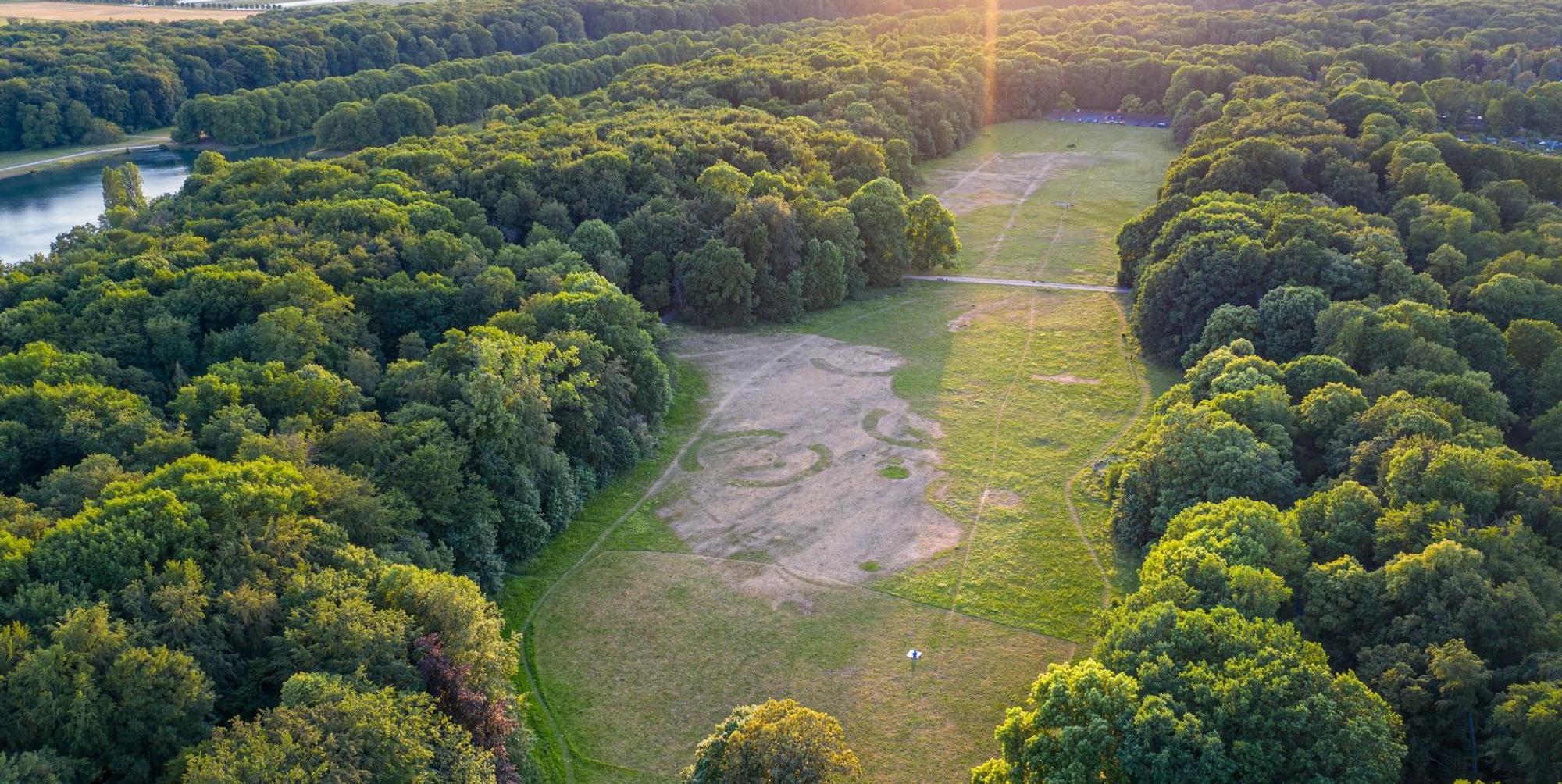 Luftbild der Gleueler Wiese im Grüngürtel