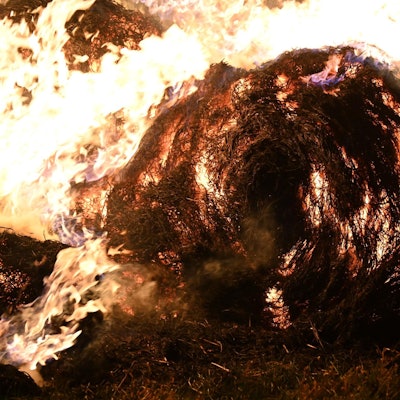 20220113-Fre-Ela-Feuer-Stroh-Bachem-3