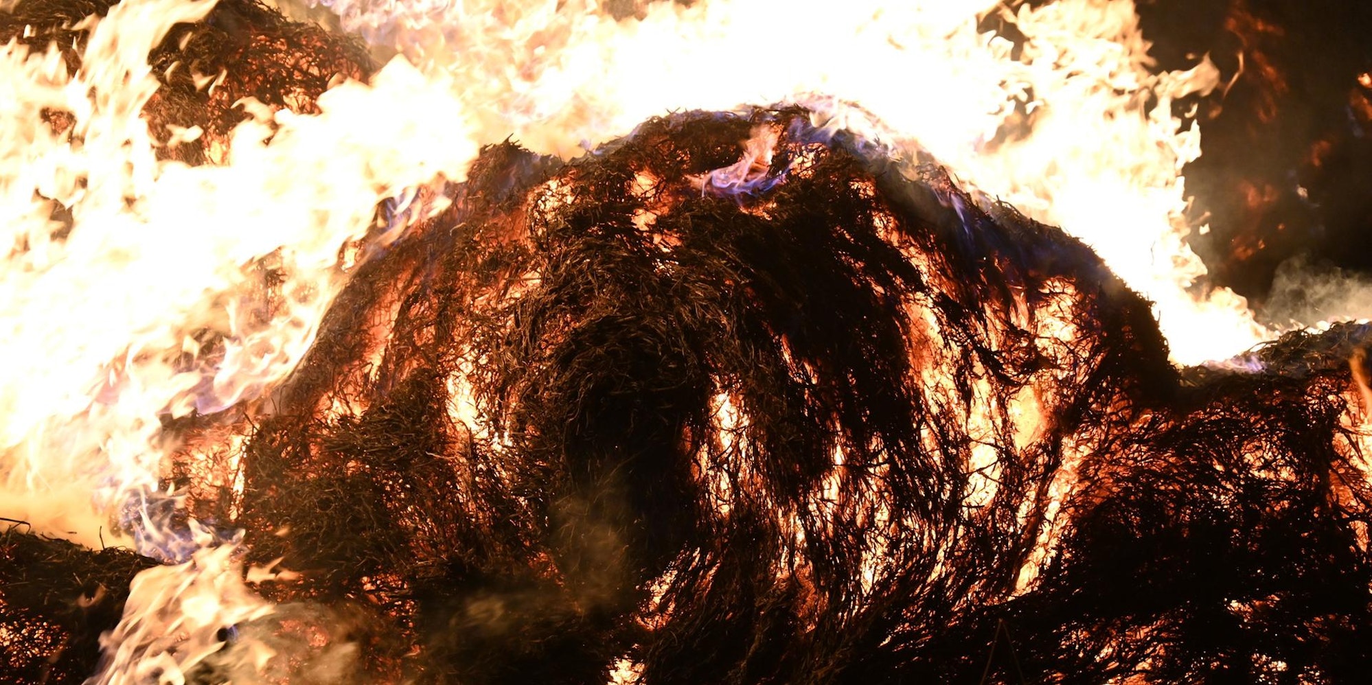 20220113-Fre-Ela-Feuer-Stroh-Bachem-3