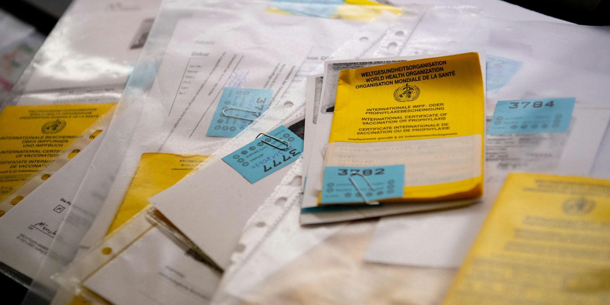 Gefälschte Impfauswese