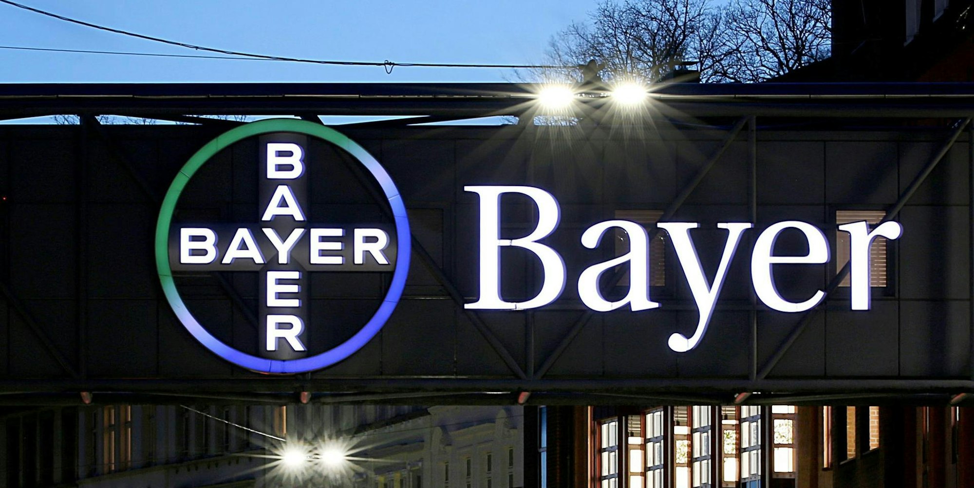 Bayer Logo