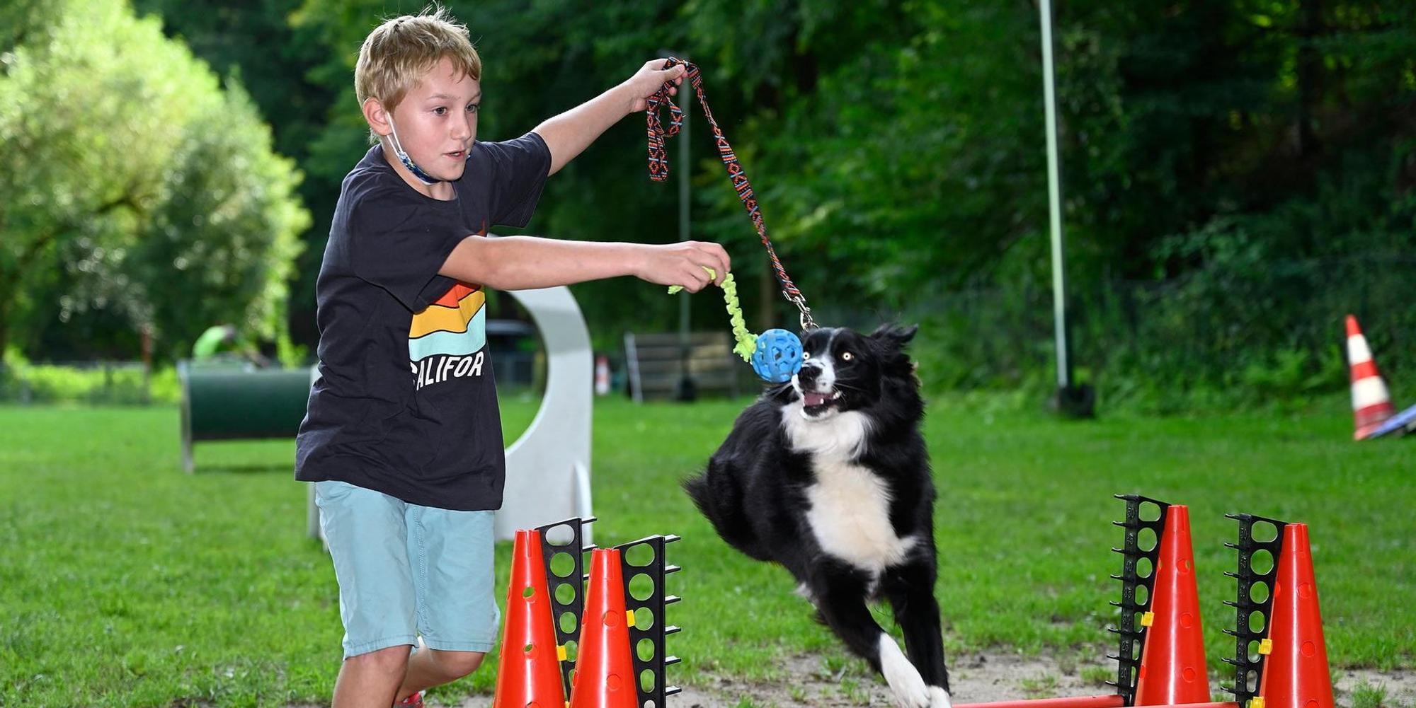Hundetraining Parcours 230821