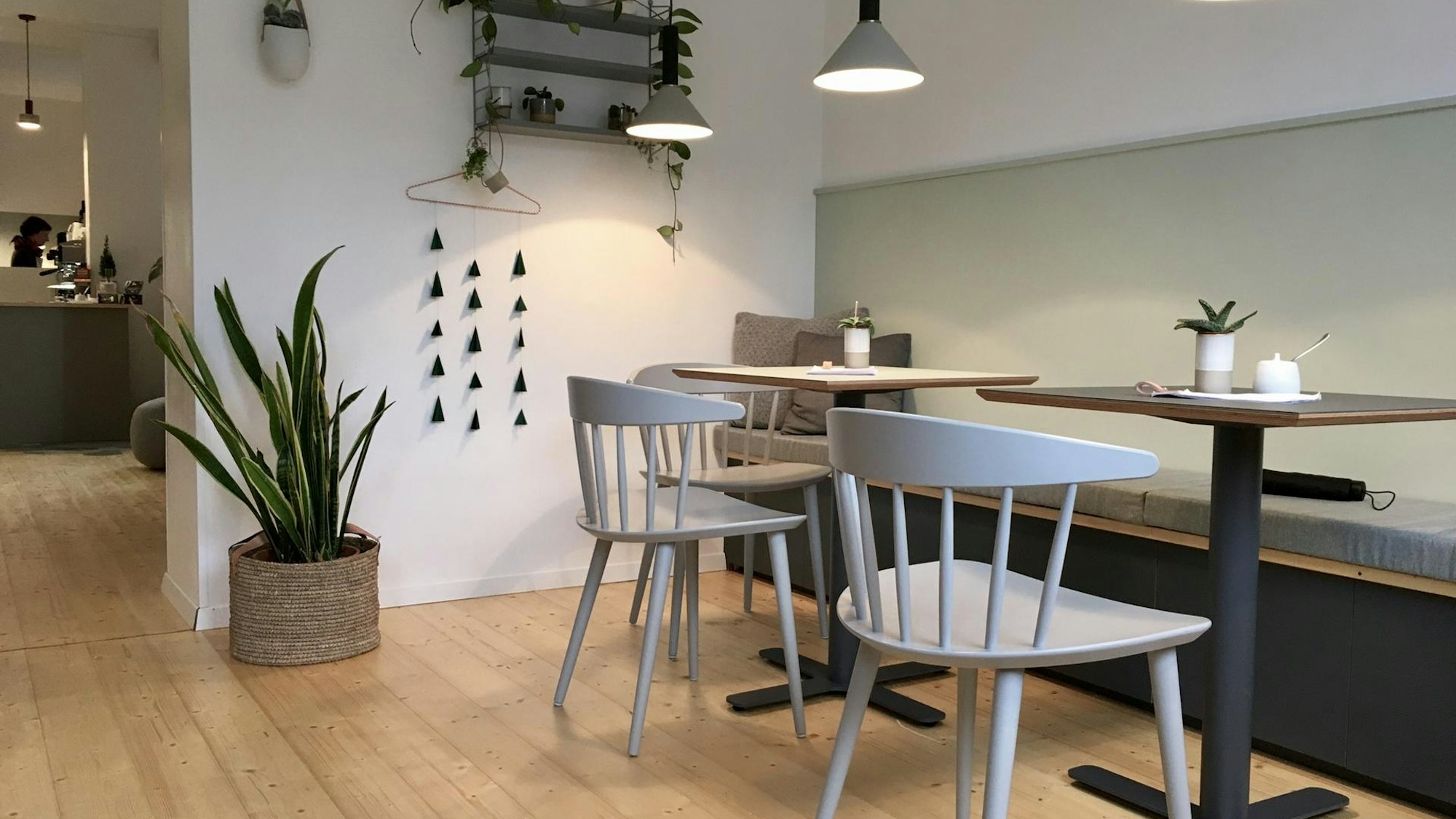 Die Einrichtung im Südlicht.