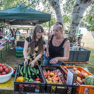 MDS-KSTA-2019-07-31-71-150444042