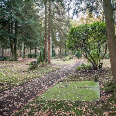 scherfenbrand_-leverkusen_ALF_2805