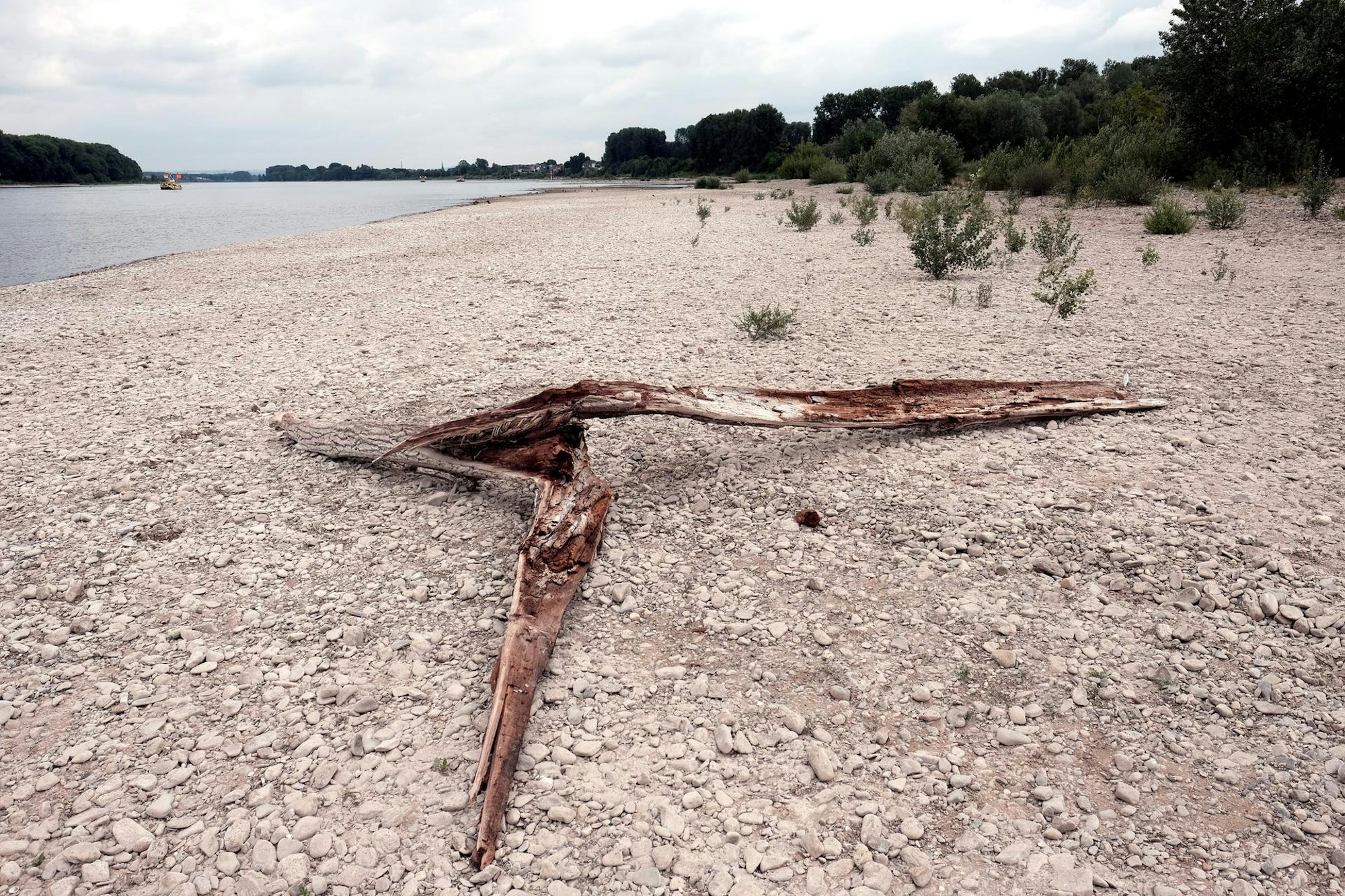 20200525-Max-sommerserie-04