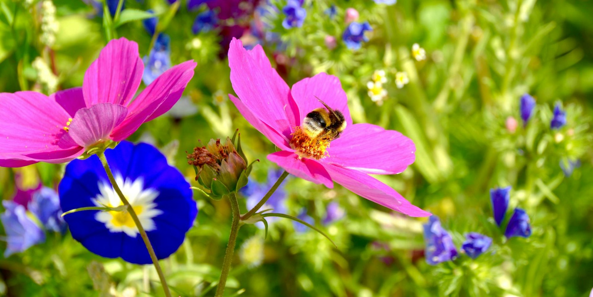 AdobeStock_279908038