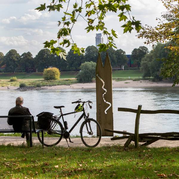 Skulpturenpark Stammheim Neu