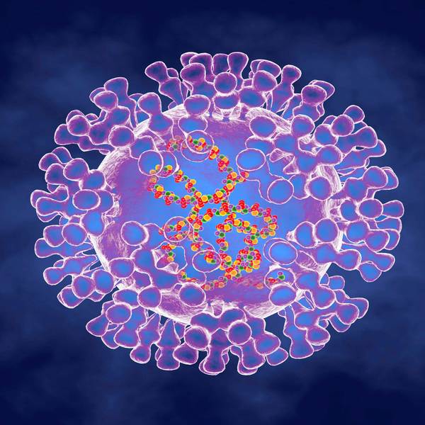Affenpocken Virus Visualisierung IMAGO