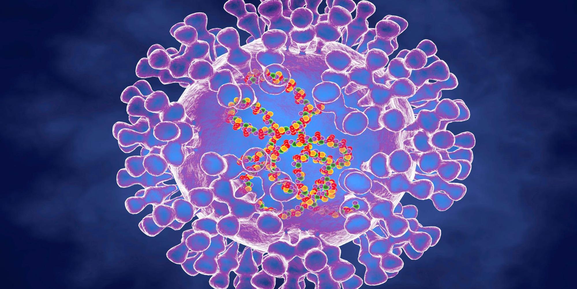 Affenpocken Virus Visualisierung IMAGO