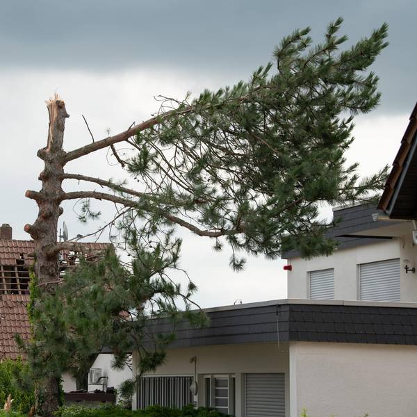 Neuer Inhalt