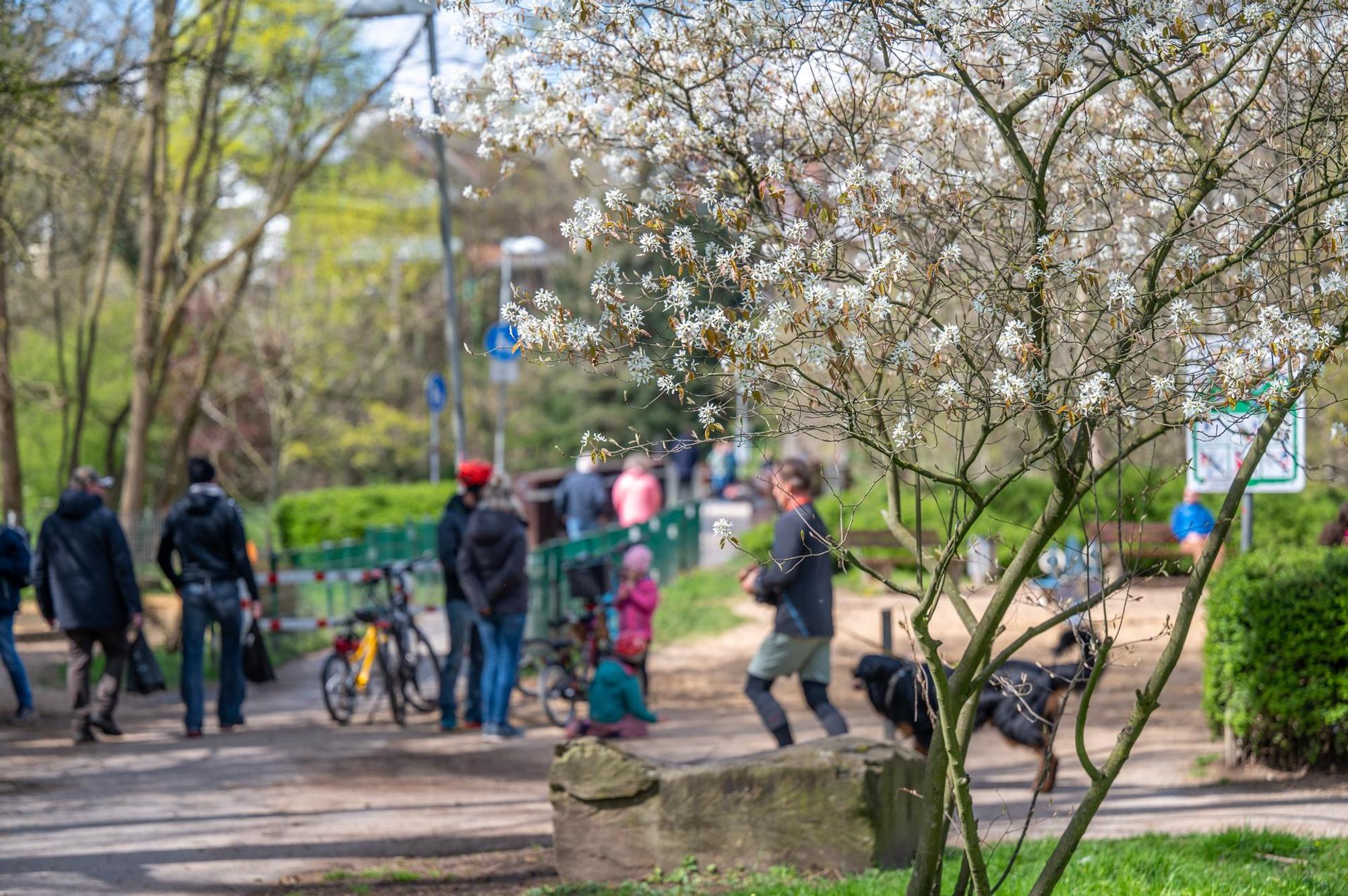 20220410-UWE-FruehlingParksLeverkusen-43