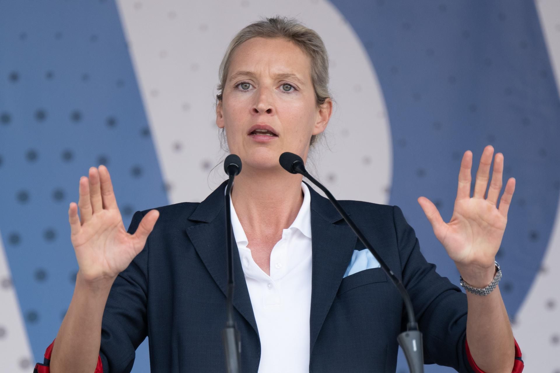 Sachsen Weidel 110622