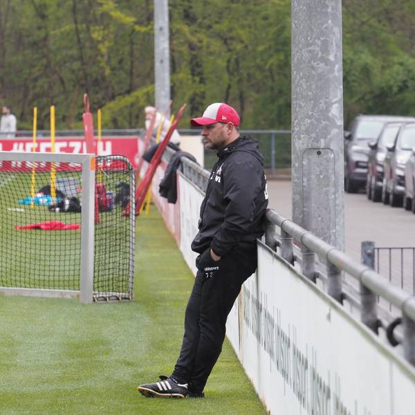 Baumgart_lehnt