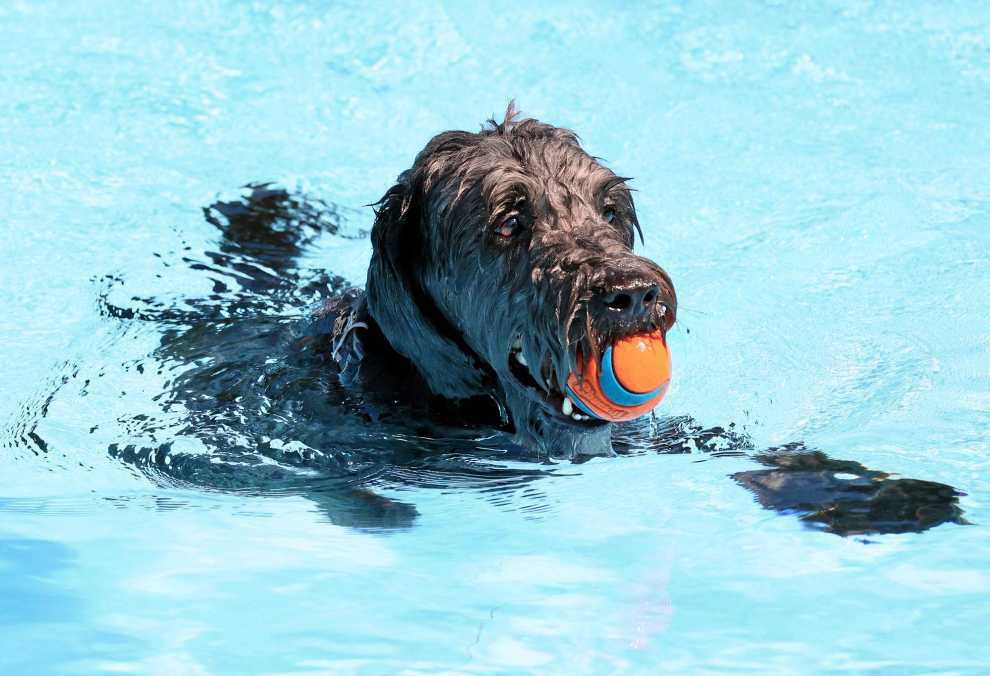 20220904_MW_LevDog 03_1