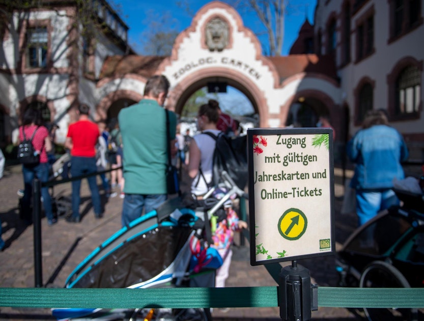 Münster: Rentner kauft 33333 Zootickets | Kölner Stadt-Anzeiger