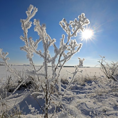 Eis Winter Schnee Kälte
