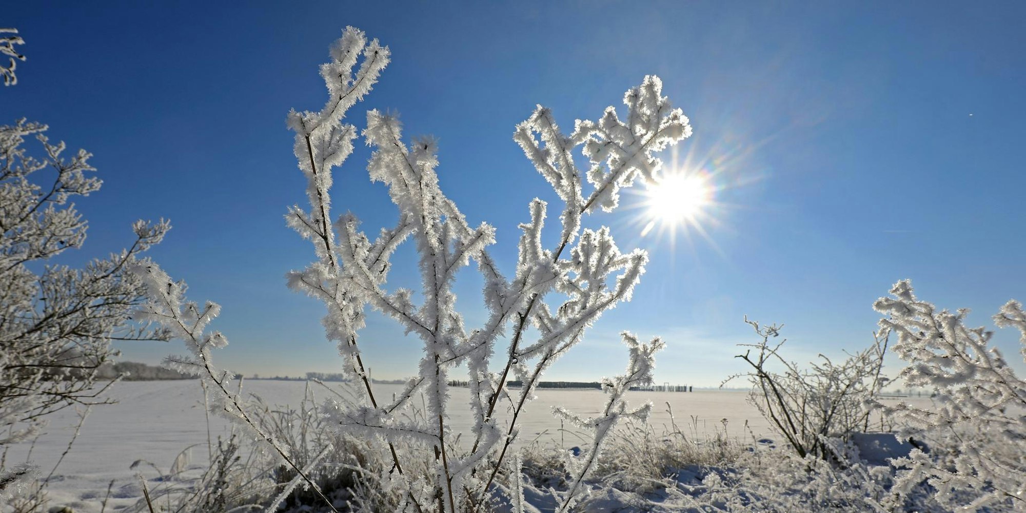 Eis Winter Schnee Kälte