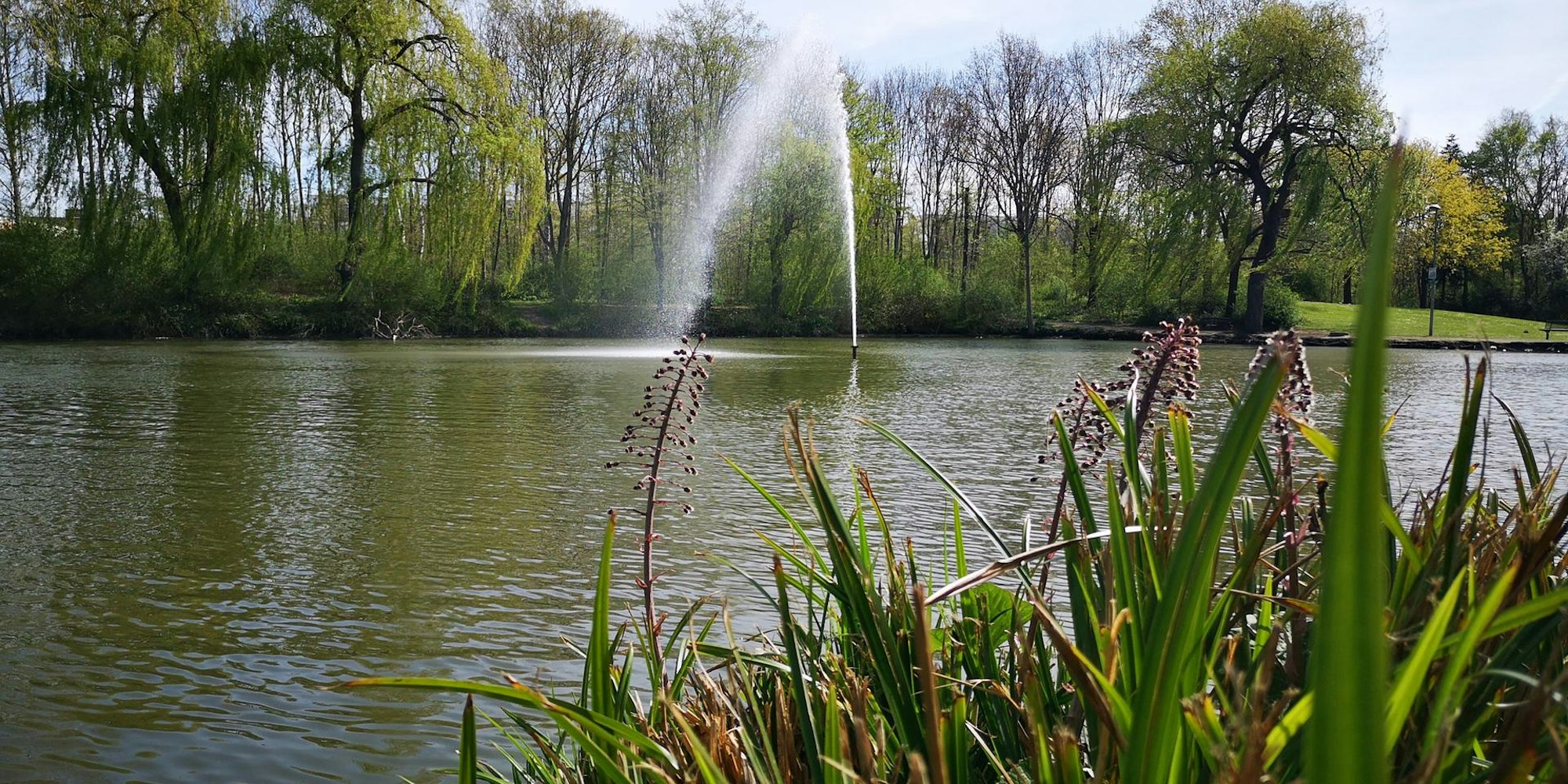 RätselwanderungWesseling9