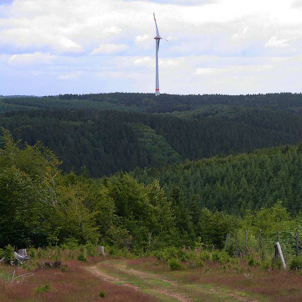 Windpark Dahlem IV und V_002