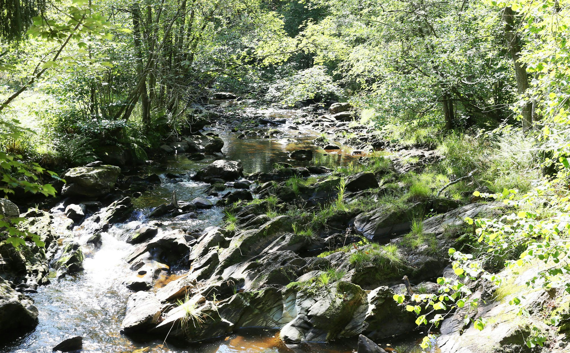 04092019_WanderungJosten_48