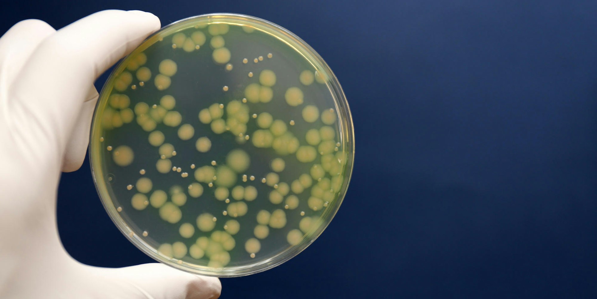 GettyImages-879088938