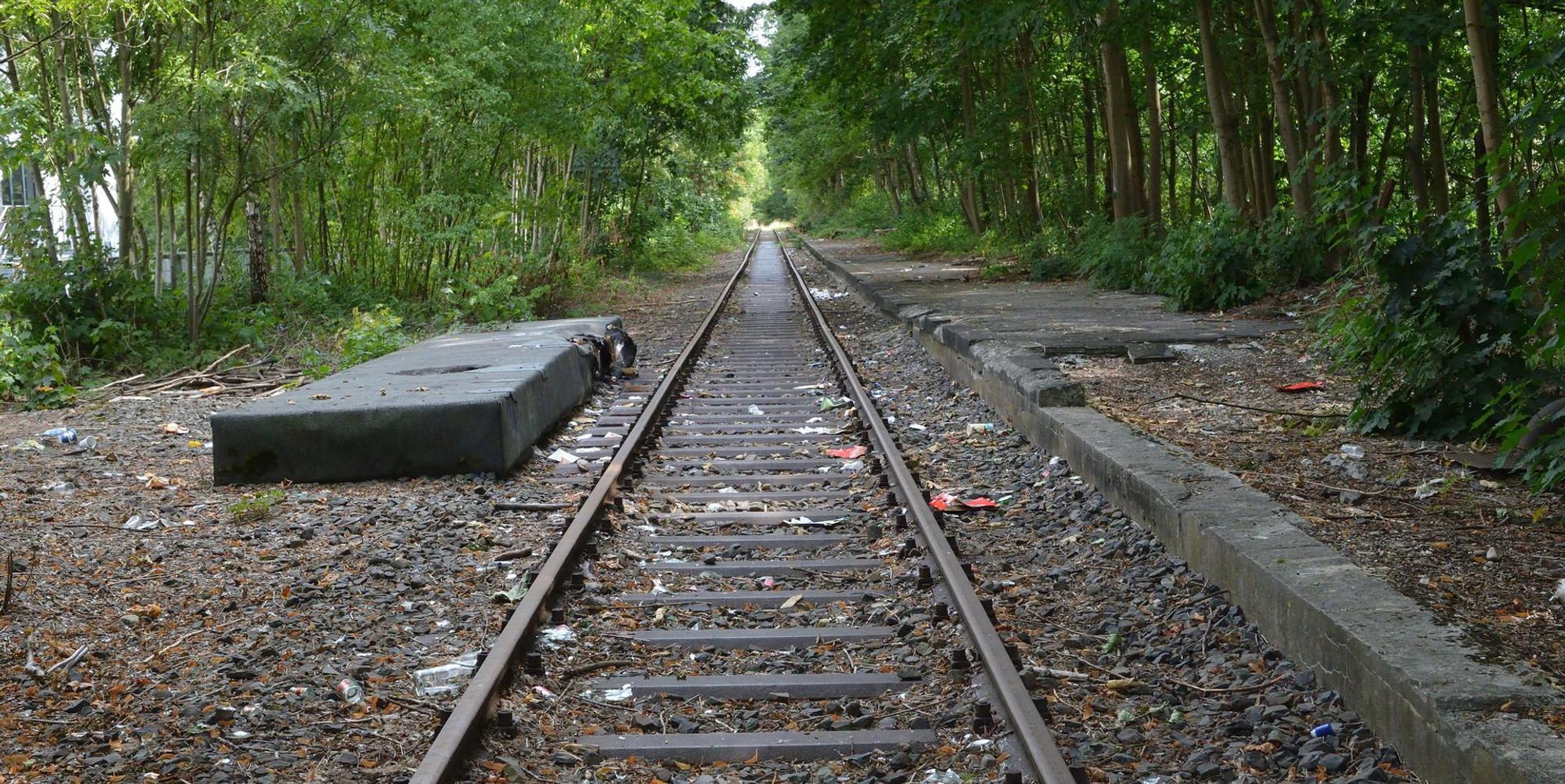 Bahndamm Bergisch Gladbach 080921