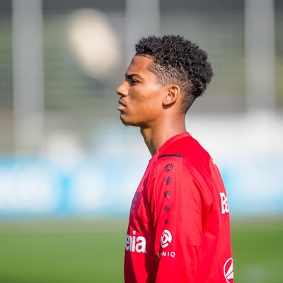 Adli Bayer