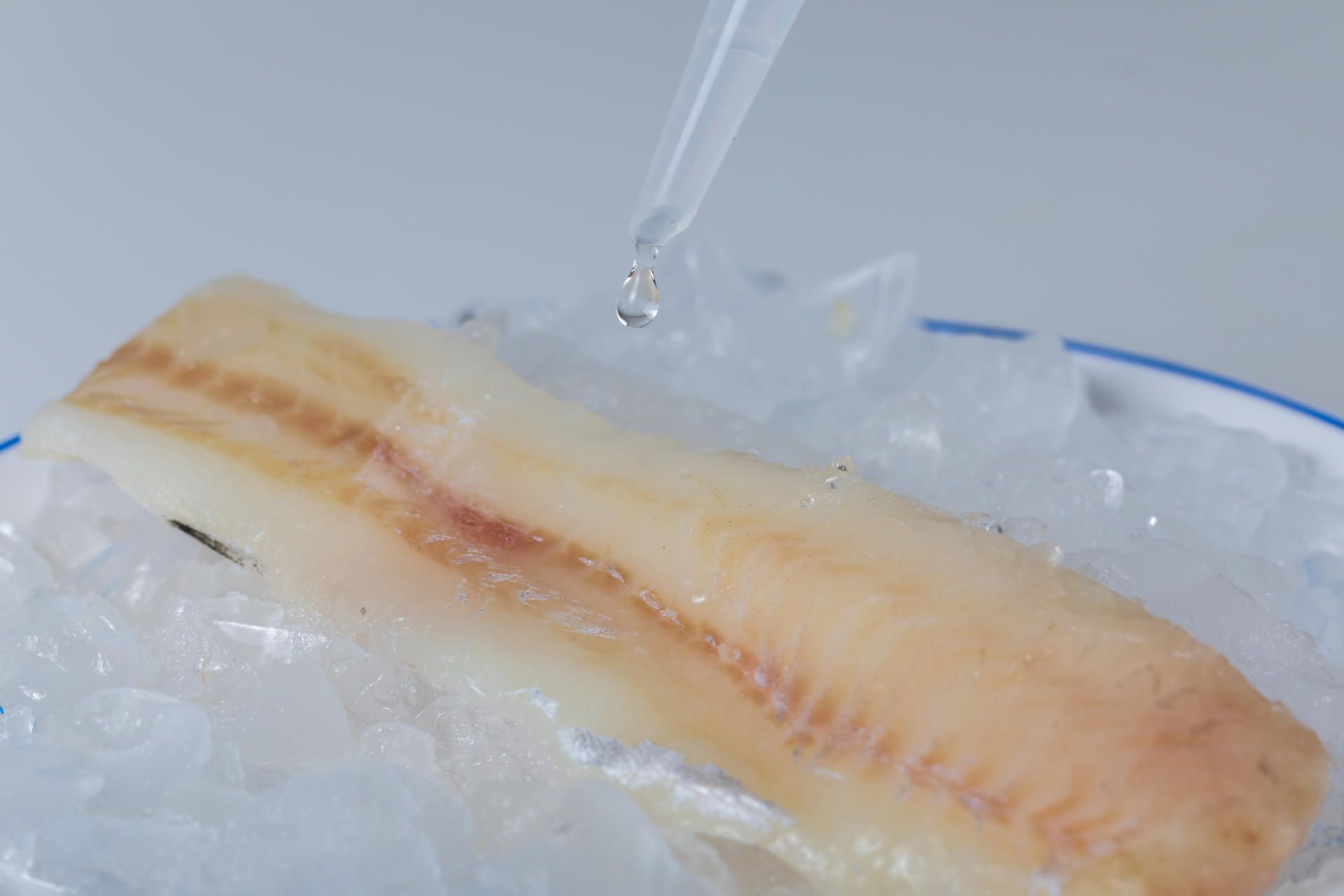 Tiefkühlfisch_Verbraucher_werden_ueber_den_Tisch_gezogen_dpa