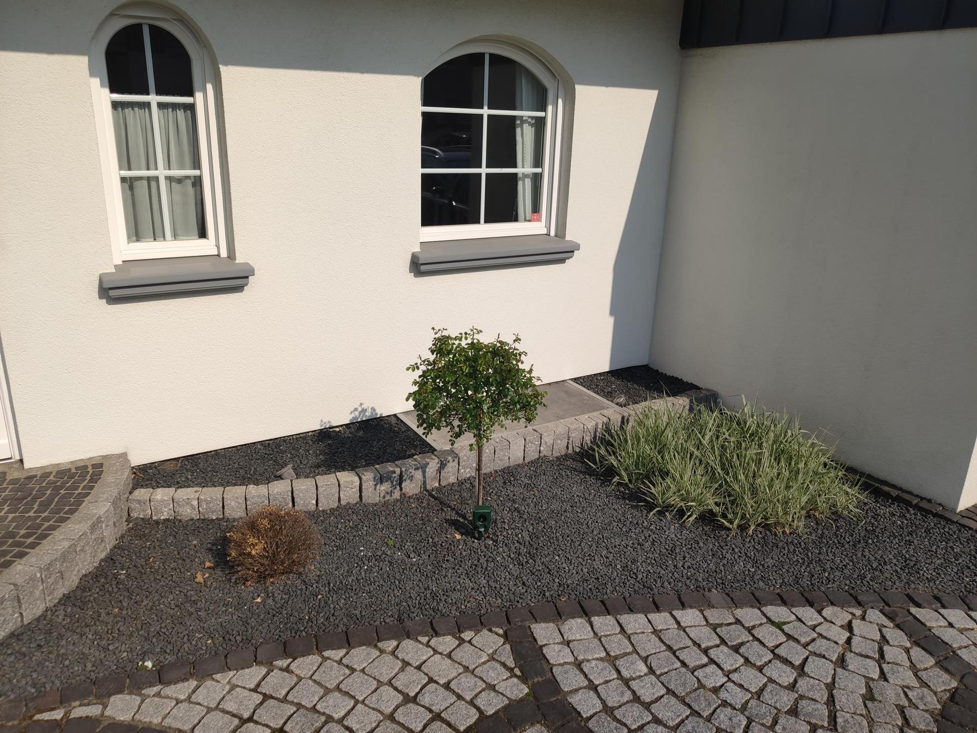 „Grün statt Grau" Vorher