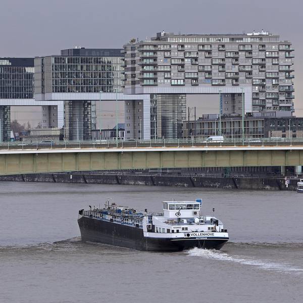 Hochwasser_Rhein_in_64239636