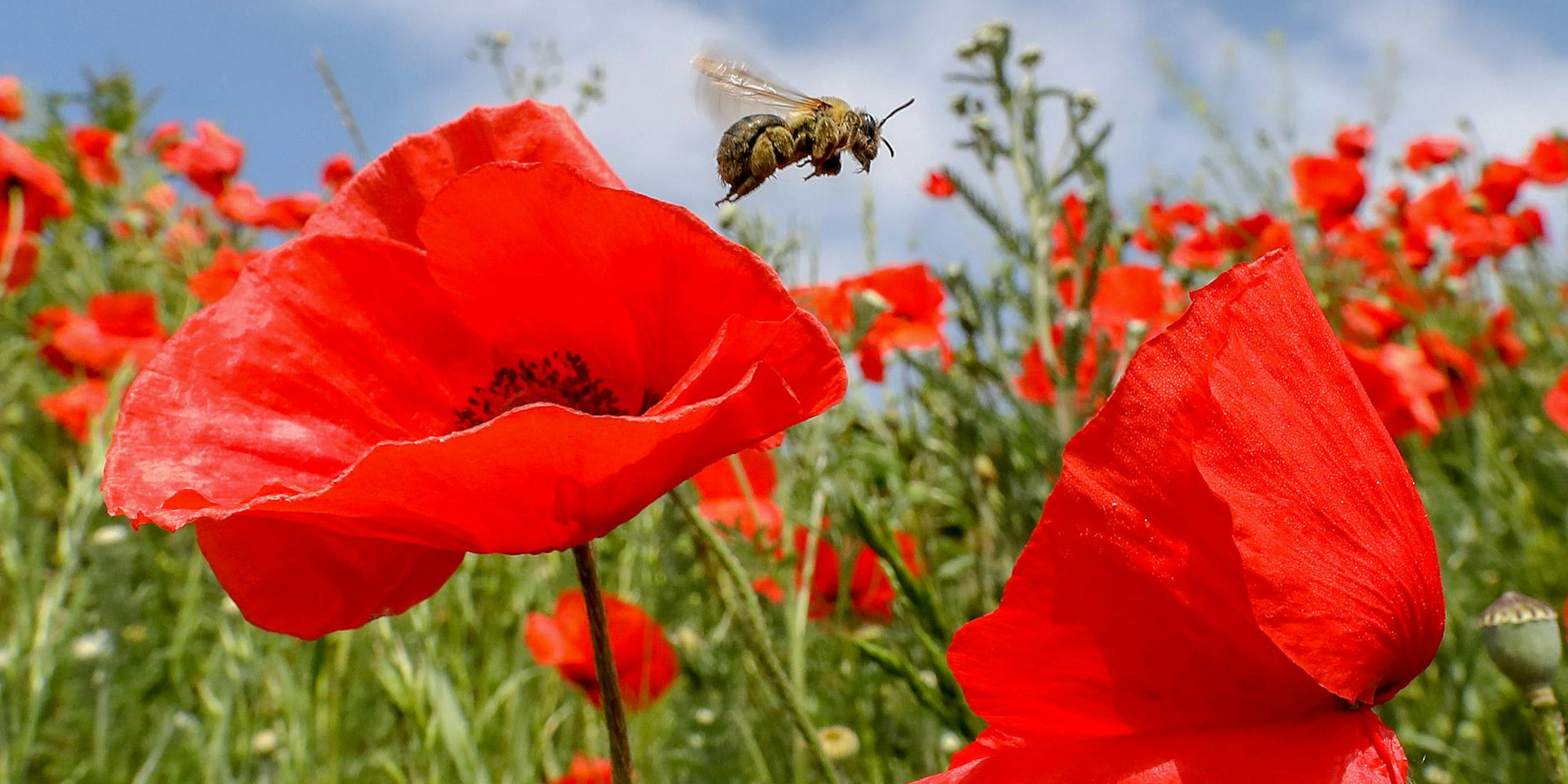 MDS-KSTA-2019-06-18-71-148781828