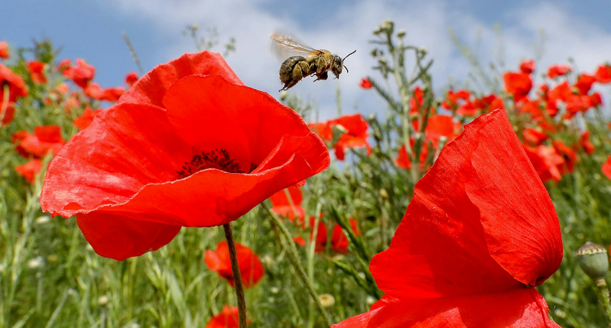 MDS-KSTA-2019-06-18-71-148781828