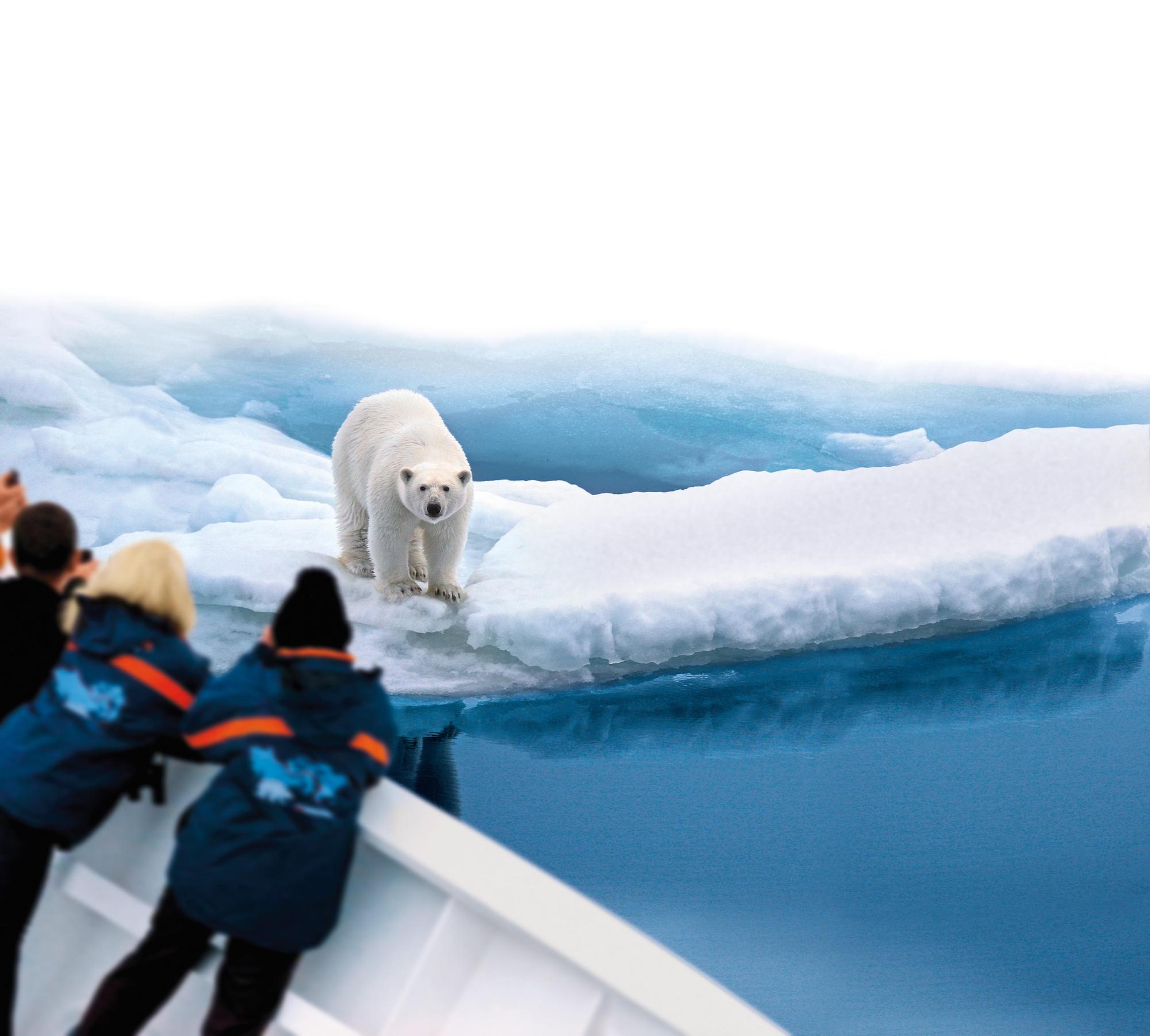 Expeditionskreuzfahrt_Antarktis_Eisbär