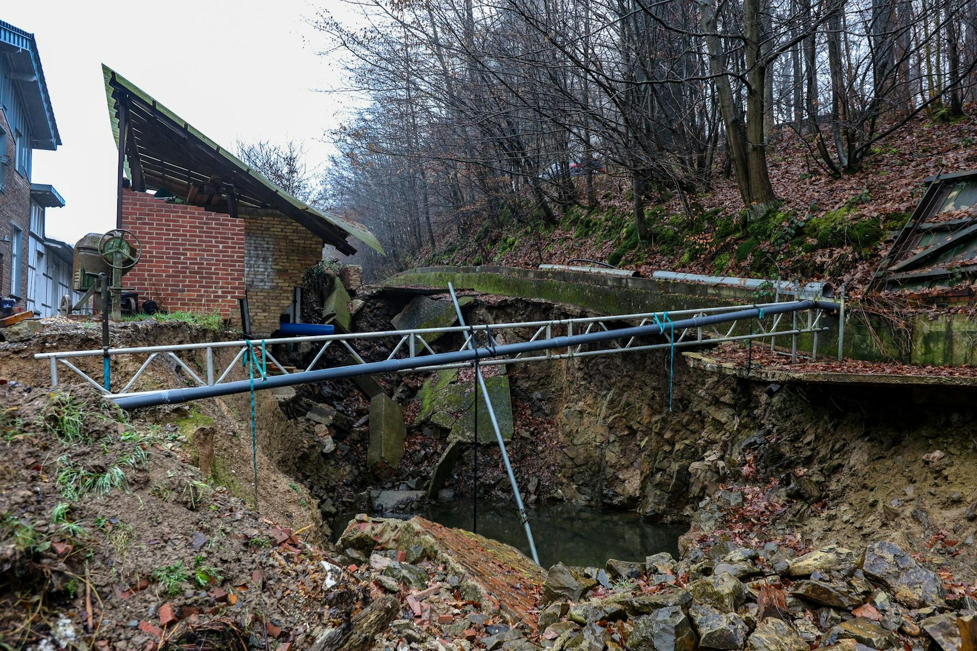 Neuer Inhalt (4)